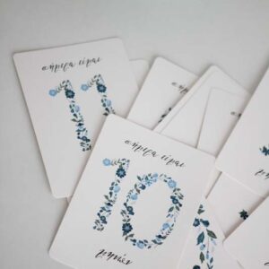 Baby Milestone Cards Vintage Blue Floral